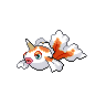 goldeen